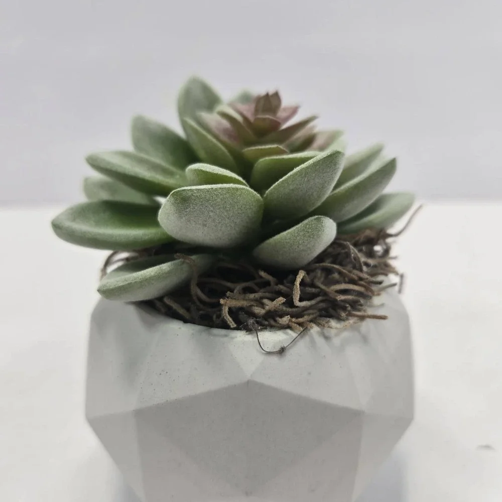 N/A handmade faux